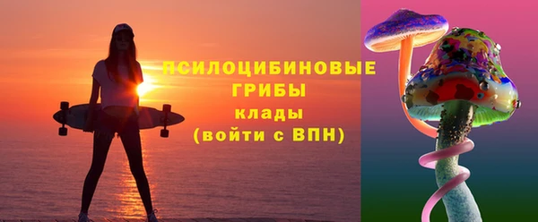кокс Абаза
