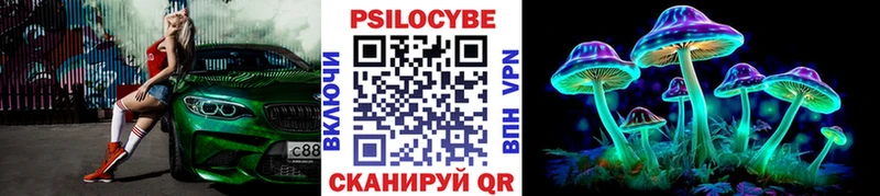 ОМГ ОМГ как зайти  Мосальск  Галлюциногенные грибы Cubensis 