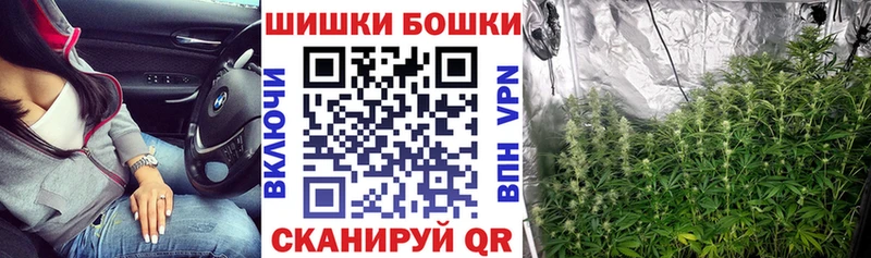 Бошки Шишки OG Kush  Мосальск 